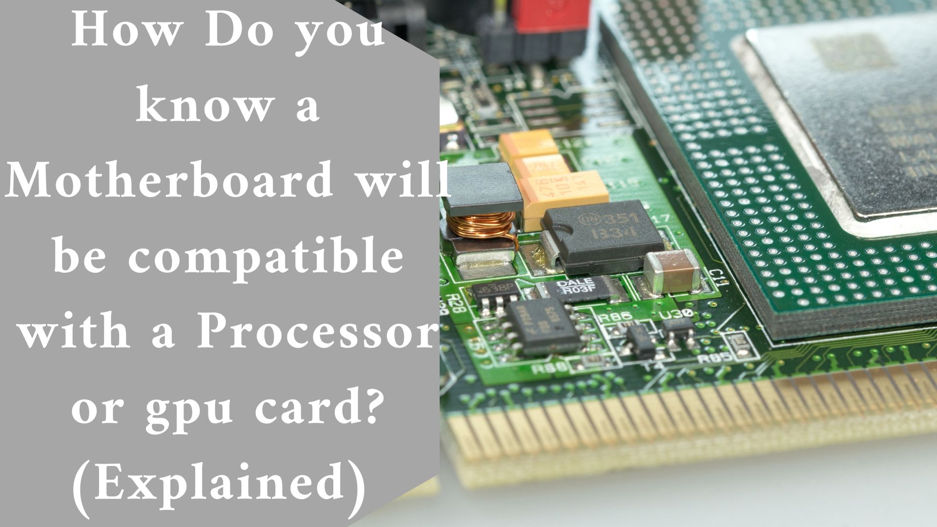 How Do you know a Motherboard will be compatible with a Processor or gpu card? (Explained)